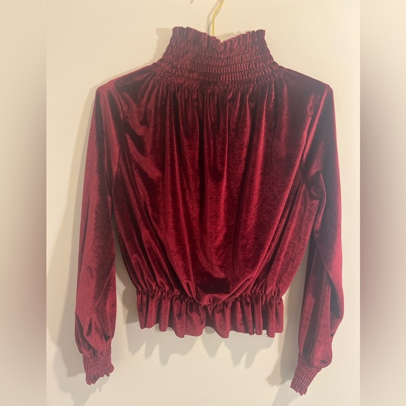 Boohoo Tops - Boohoo Velvet Top/Turtleneck with the sweetest details!
